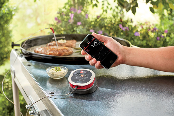 Weber igrill cheap probes